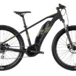 Raymon HardRay E 2.0 T350 - 500 Wh - 29 Zoll