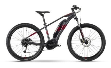 Raymon HardRay E 3.0 T350 500 Wh 29 Zoll.jpg